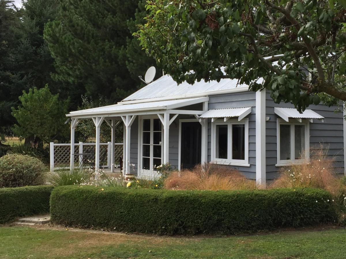 Birch Hill Cottage -30 Minutes From St Arnaud Wairau Valley Eksteriør bilde